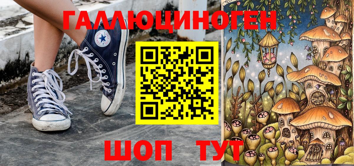 Псилоцибиновые грибы прущие грибы Гатчина