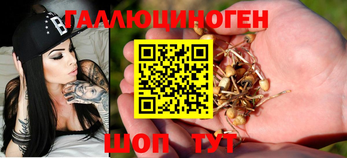 Гатчина  Галлюциногенные грибы мухоморы  Вход с VPN  Псилоцибиновые грибы MAGIC MUSHROOMS 